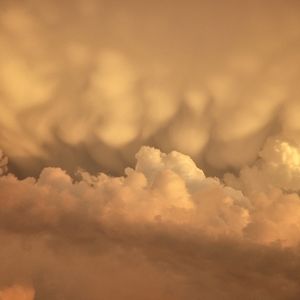 Meet your Posher, 🍎